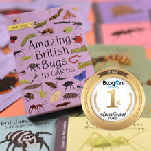 Load image into Gallery viewer, British Bugs ID Cards | Button and Squirt |  Blogon 1st Educational Toys | Hadley Green Home 
