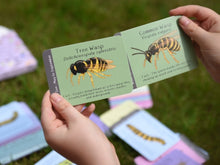 Load image into Gallery viewer, British Bugs ID Cards | Button and Squirt | Hadley Green Home 
