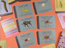 Load image into Gallery viewer, British Bugs ID Cards | Button and Squirt | Little Twidlets
