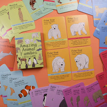 Load image into Gallery viewer, Amazing Animal Families Card Game | Button and Squirt | Little Twidlets
