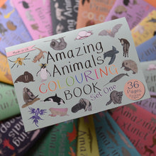 Load image into Gallery viewer, Amazing Animals Colouring Book little Twidlets
