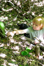 Load image into Gallery viewer, The Mini Bird Pizza Kit The Den Kit | Little Twidlets
