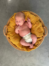 Load image into Gallery viewer, Newborn Nappy Hire Kit Loan (£45 + deposit)
